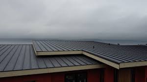 Best Roof Coating Services  in Clayton, NM